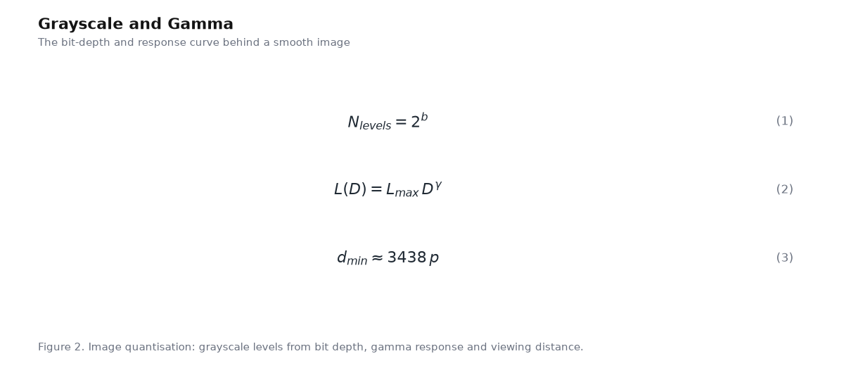 Equation panel for the article: Grayscale and Gamma - three governing equations with numbering